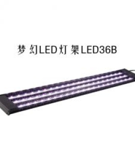 Đèn Led Magic siêu tiết kiệm điện LED-36B