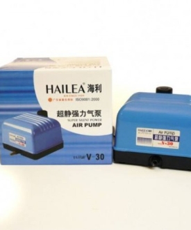 Máy thổi khí oxy không gây ồn Hailea V-10