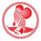 CÔNG TY TNHH THƯƠNG MẠI DỊCH VỤ CẢNG HÀO