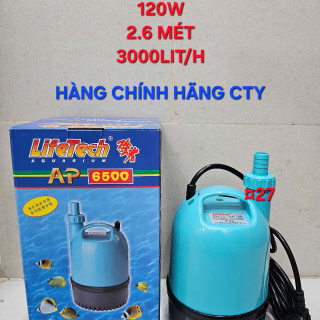 Máy bơm hải sản và hòn non bộ