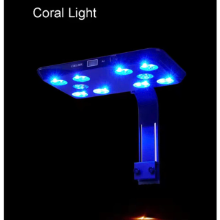 Đèn Led Hồ Cá