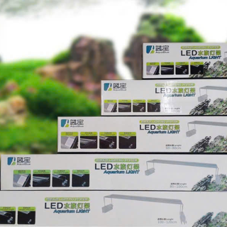 Máng đèn led thuỷ sinh